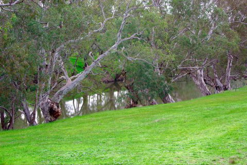 Yalooka Farm - Goulburn Accommodation 4