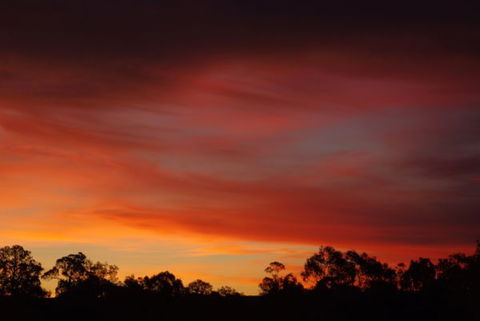 Yalooka Farm - Goulburn Accommodation 5