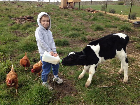 Yalooka Farm - Goulburn Accommodation 8