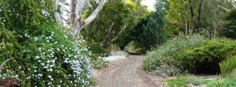 Camawald Coonawarra Bed & Breakfast - Goulburn Accommodation 13