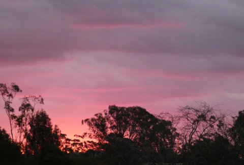 Forest Lodge Highfields - Goulburn Accommodation 4