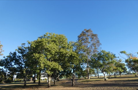 Forest Lodge Highfields - Goulburn Accommodation 6
