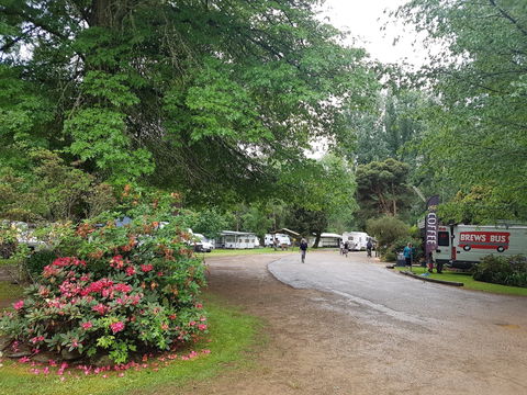 Harrietville Cabins And Caravan Park - Goulburn Accommodation 8