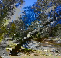 Highfield Farm and Woodland Bush Campsites - Goulburn Accommodation