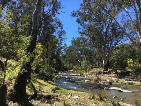 Highfield Farm And Woodland Bush Campsites - Goulburn Accommodation 0