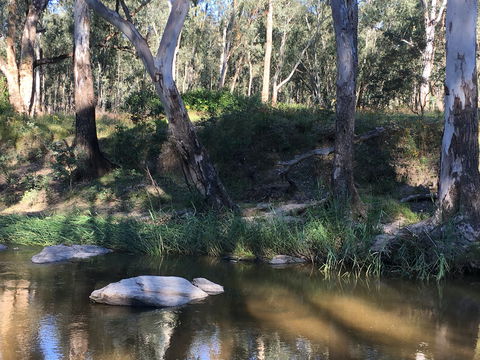 Highfield Farm And Woodland Bush Campsites - Goulburn Accommodation 1