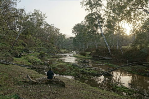 Highfield Farm And Woodland Bush Campsites - Goulburn Accommodation 2