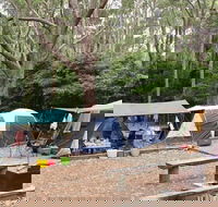 Pebbly Beach campground - Yuraygir National Park - Goulburn Accommodation