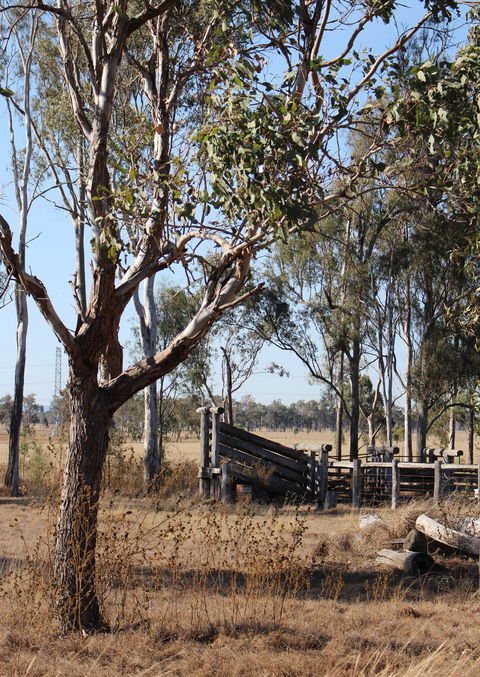 Keira Farm - Goulburn Accommodation 3