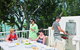 Peppers Beach Club And Spa - thumb 4