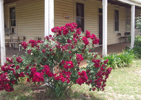 Savernake Farm Stay - Goulburn Accommodation 6