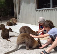 The Patriarch Wildlife Sanctuary Camping Ground - Goulburn Accommodation