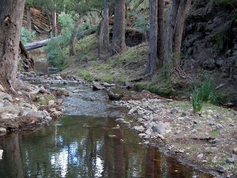 The Sink Campground - Goulburn Accommodation 1