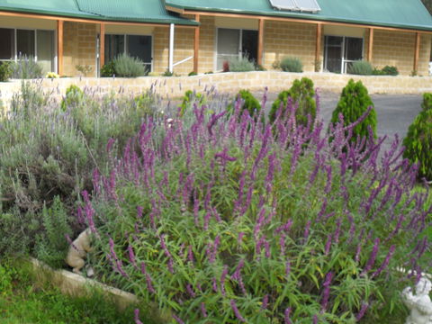 The Malone's Bed And Breakfast Guest Rooms - Goulburn Accommodation 2