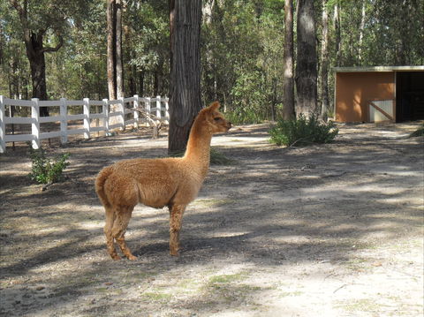 The Malone's Bed And Breakfast Guest Rooms - Goulburn Accommodation 7