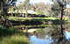 Wildwood Guesthouse - thumb 3