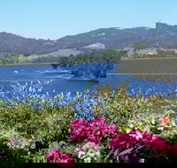 Donalea Bed  Breakfast Tasmania - Goulburn Accommodation