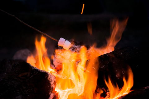 Glenworth Valley Outdoor Adventures Camping - Goulburn Accommodation 4