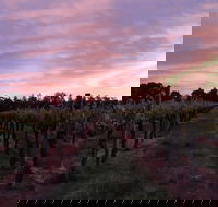 Milawa Vineyard Views - Goulburn Accommodation