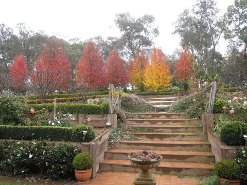 Wejalee Bed And Breakfast - Goulburn Accommodation 1