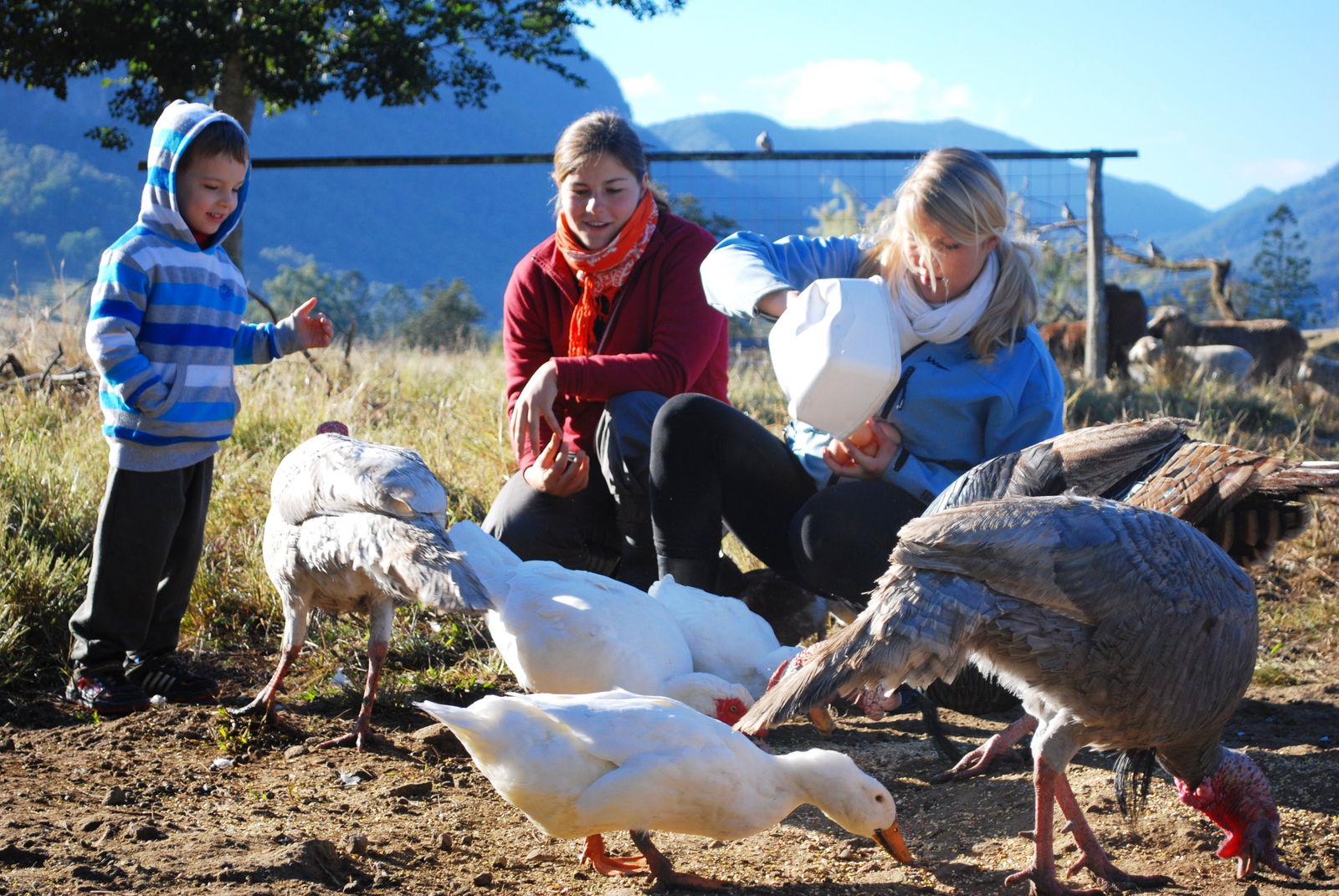 Cedar Grove QLD Goulburn Accommodation