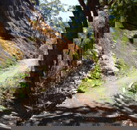 Centre Road Crossing Camp at Mount Frankland South National Park - Goulburn Accommodation