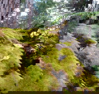 Fernhook Falls Camp at Mount Frankland South National Park - Goulburn Accommodation