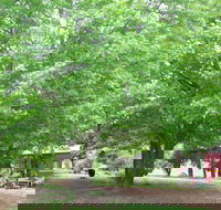 Hill End Holiday Ranch - Goulburn Accommodation