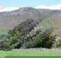 Jessica's Guest House and Vineyard - Goulburn Accommodation