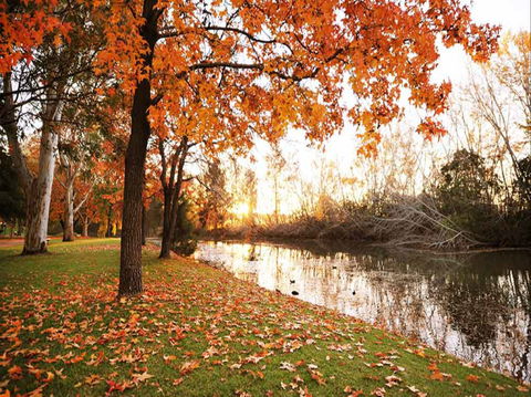 Reflections Holiday Park Cudgegong River - Temporarily Closed - Goulburn Accommodation 1