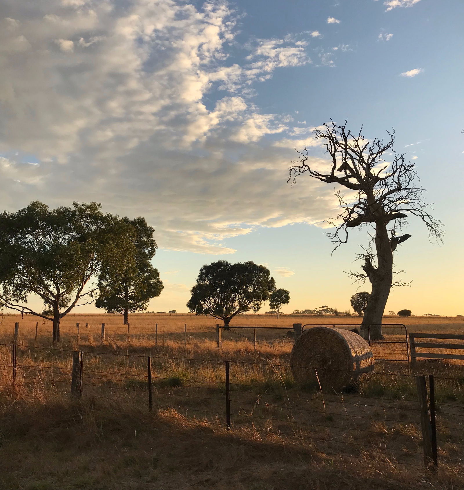 Stonehaven VIC Goulburn Accommodation