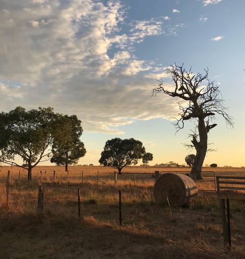Rocklea Farm - Goulburn Accommodation 0