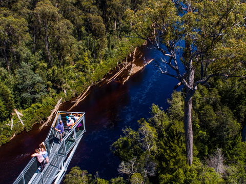 Tahune Adventures Tasmania - Lodge And Cabin - Goulburn Accommodation 1