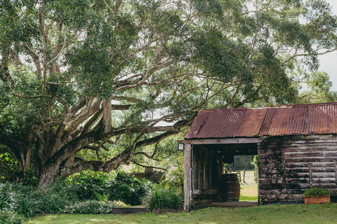 The Eumundi Dairy - Goulburn Accommodation 2