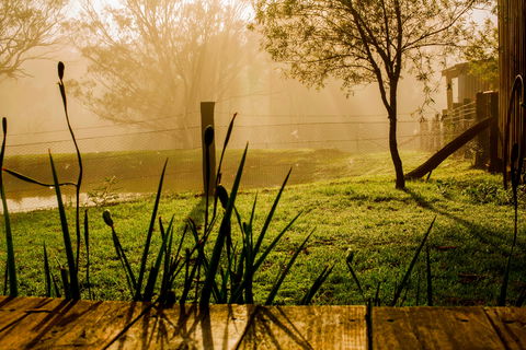 Tobruk Sydney Farm Stay - Goulburn Accommodation 1