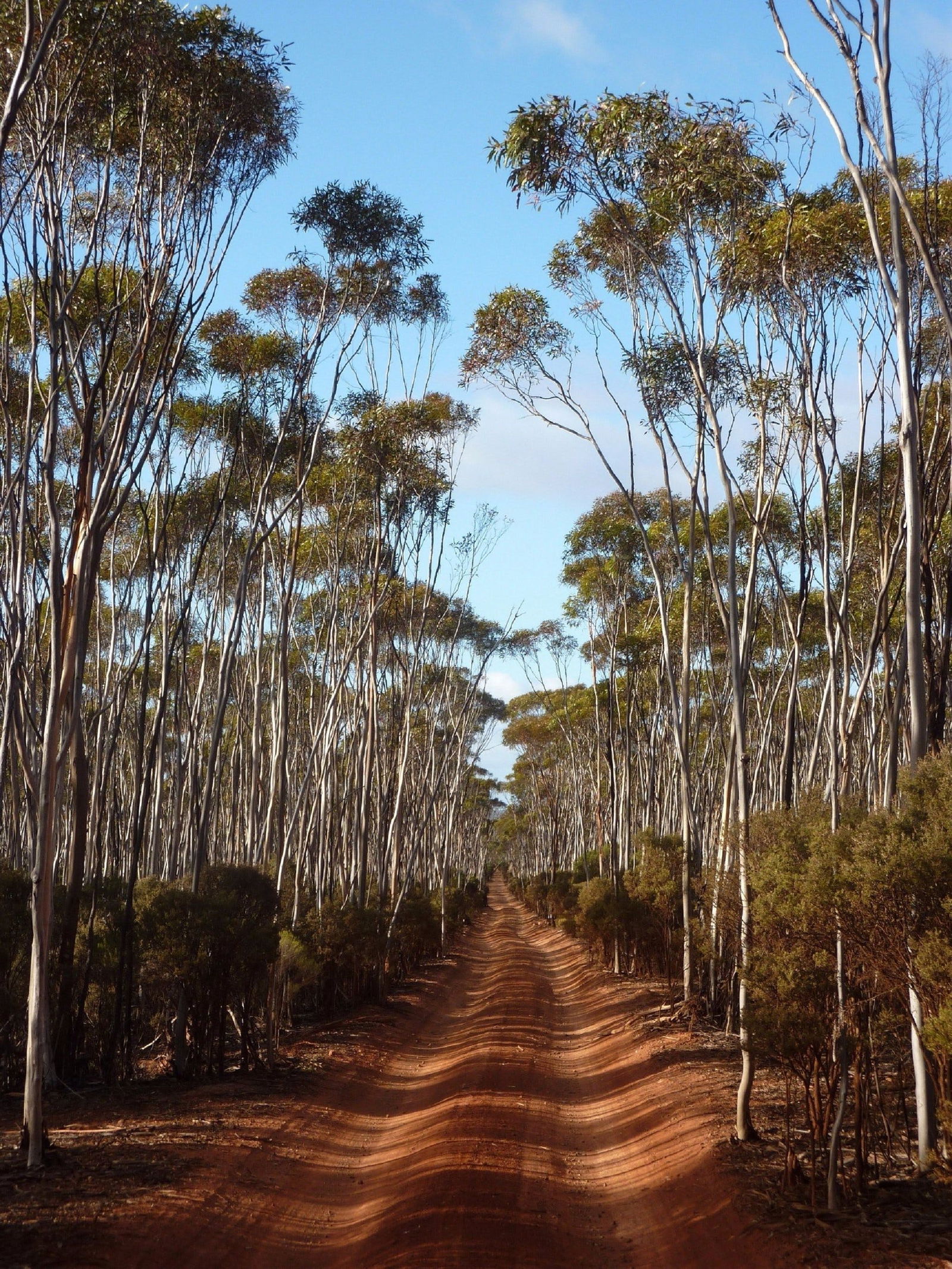 Victoria Rock WA Goulburn Accommodation
