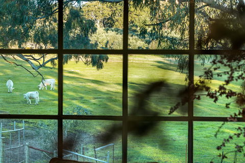 Australia Suite - Goulburn Accommodation 1