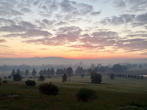 Barella Cabins - Goulburn Accommodation 1