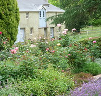 Godolphin Country Accommodation - Goulburn Accommodation