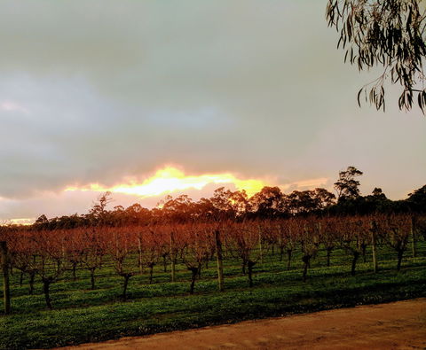The Grove Distillery And Brewery - Goulburn Accommodation 0