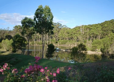 Forest Lodge Resort - Goulburn Accommodation 3