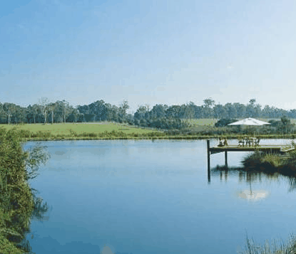 Forest Rise Eco Retreat - Goulburn Accommodation