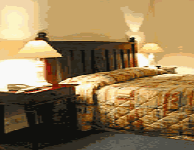 Comfort Inn Treetop Walk - Goulburn Accommodation