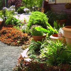 Northcliffe Bibbulmun Break Motel - Goulburn Accommodation 3