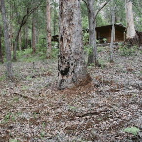 Pemberton  Forrest Cottages  - Goulburn Accommodation 2