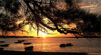 Pelican's Nest - Goulburn Accommodation 0