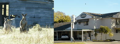 Acacia Motor Inn - Goulburn Accommodation 5