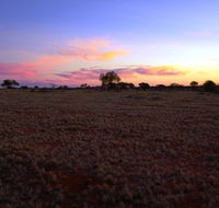 Wogarno Homestead - Goulburn Accommodation