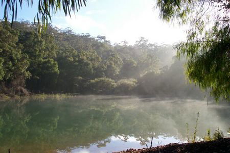 Karri Valley Chalets - Goulburn Accommodation 2