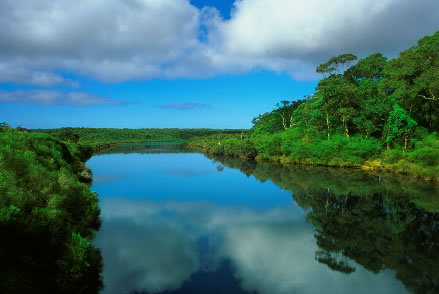Nutkin Lodge - Goulburn Accommodation 3
